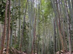 -海窝子古镇