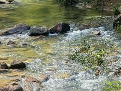 -广州白江湖森林公园