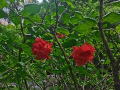 -人民公园(罗湖区)