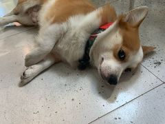 -小梁哥云吞面(黄贝岭店)