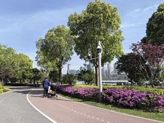 -北外滩滨江绿地