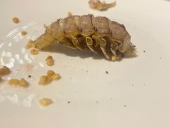 -后海16号·北京私房菜