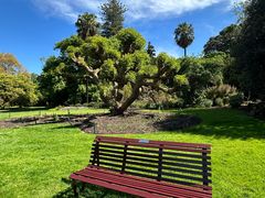 -墨尔本皇家植物园