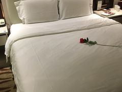 -麗枫酒店(成都理工大学地铁站店)