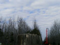 -合肥滨湖国家森林公园