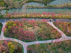 -花开海上生态园