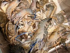 -桃源乐钓虾馆(松岗概念店)