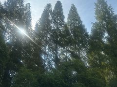 -上海怡沁园度假酒店