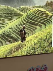 -头道汤头疗养生馆