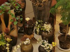 -南湖春色海鲜食府(中兴街店)