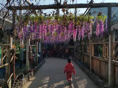 -呀路古热带植物园