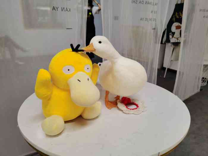 来玩鸭call duck-"位置有点远,不在市中心,园区是拍照基地玩.