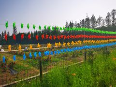 -上海长兴岛郊野公园