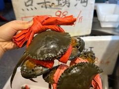 -不炭白烧烤(成都首店)