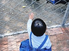 -大鹅岛绿色生态美食园