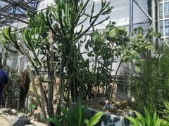 -南山植物园