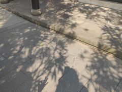 -杭州宋城
