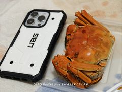 -金湖麻小巧妇龙虾馆