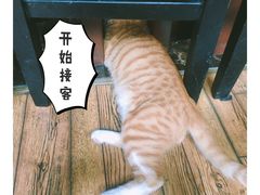 -萨芭蒂高空花园餐酒吧