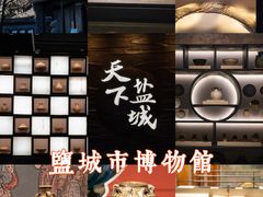 -盐城丹顶鹤湿地生态旅游区