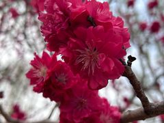 -永定河休闲森林公园