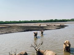 -宁波杭州湾国家湿地公园