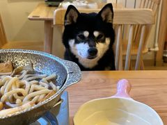 -柴の食堂·日式家庭料理·熊之肆(大学路店)