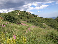 iphone_upload_pic-野三坡百草畔景区