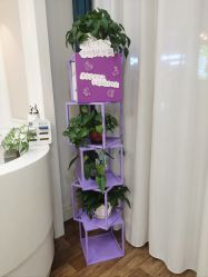 体验前-万州华美紫馨整形美容医院