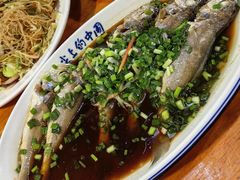 清蒸野生黄鱼-温州一家人美食(西木头市店)