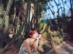 -北京植物园-展览温室