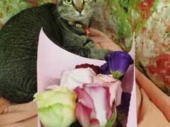 -弗劳尔花艺坊(龙涛店)