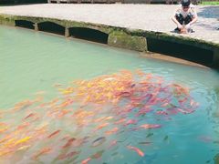 -龙瀑仙洞
