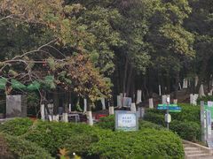 -火炉山森林公园