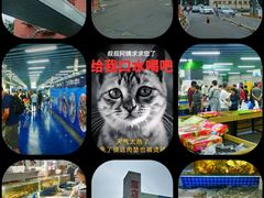 -四道口水产市场