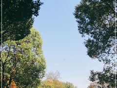 -白塘生态植物园