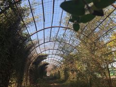 -万源龙顺度假庄园生态观光园