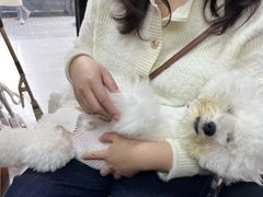 -联合动物医院(光谷诊疗中心)