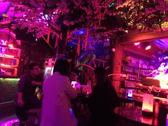 -周庄红庭演艺酒吧