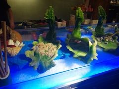 -韩丰源海鲜烤肉火锅自助餐(合肥梦之城购物中心店)