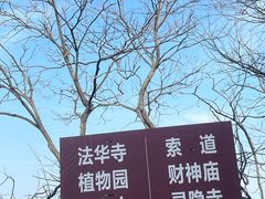 -灵顺寺