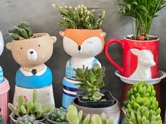 -循礼门鲜花花市(武汉循礼门店)