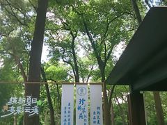 -云溪植物园