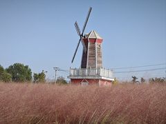 -羊亭河湿地公园