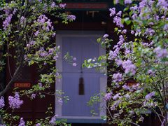 -北京艺术博物馆(万寿寺)