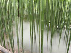 -竹泉村旅游度假区