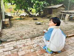 -白洋淀景区