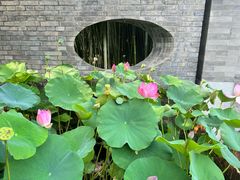 -京兆尹(雍和宫店)