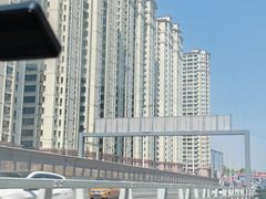 -哈尔滨大剧院