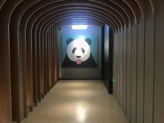 -成都九眼桥亚朵网易严选酒店